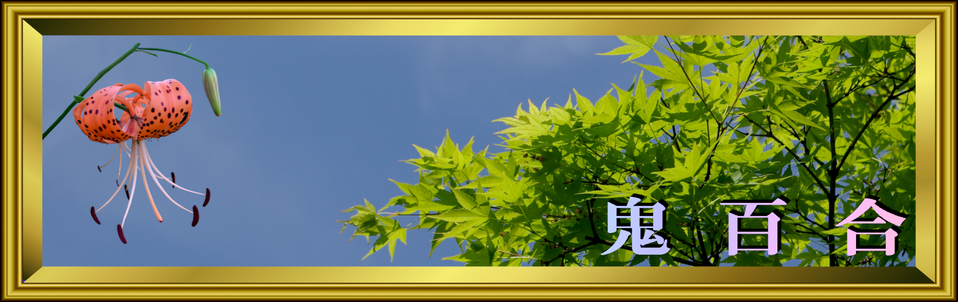 季節の花
