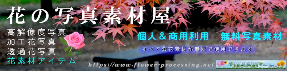 花の写真素材屋